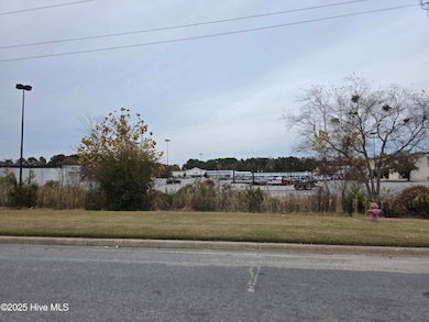 806 Park, Williamston, NC 27892 - photo 2