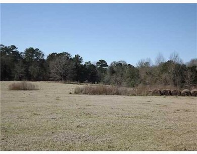 0 Debert Adams Rd, Lucedale, MS 39452 - photo 3