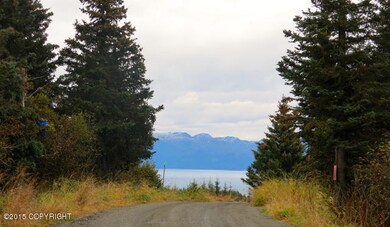 IMG_4303