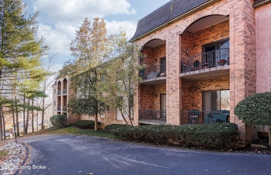 5800 Coach Gate Wynde unit 319C, Louisville, KY 40207 - photo 5