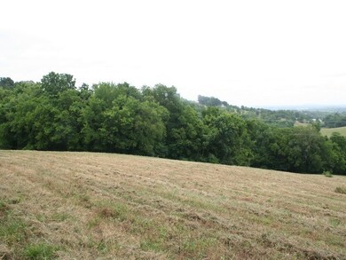 LEFT SIDE OF PROPERTY. GOES INTO TREE LINE. SELLER PROVIDED 1 PERK SITE FOR 3 BR. COULD HAVE MORE. 