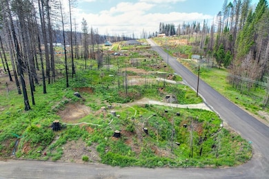 5136 Evergreen, Grizzly Flats, CA 95636 - photo 5