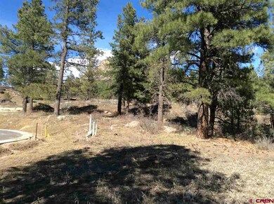 0 Aster Ln unit 729665, Durango, CO 81301 - photo 4