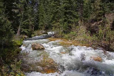 TBD Northfork, Big Sky, MT 59716 - photo 7