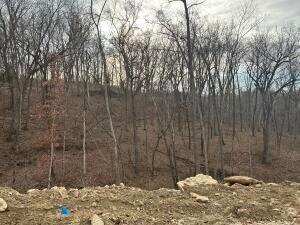 220 Boone Point Subdivision, Boonville, MO 65233 - photo 5