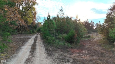 Lot 1 Cheeks Quarter Rd, Henderson, NC 27537 - photo 6