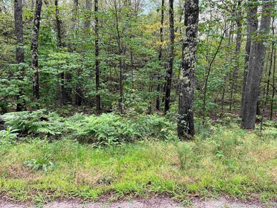 40 Huttwil Dr unit C173, Madison, NH 03849 - photo 2