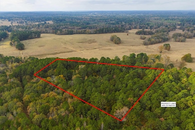 TBD Grace Scott Cutoff, Karnack, TX 75661 - photo 5