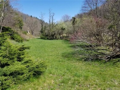 2525 Little Creek Rd, Burnsville, NC 28714 - photo 5