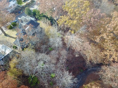 BackYard1