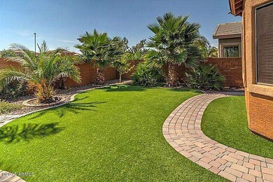 backyard1_700