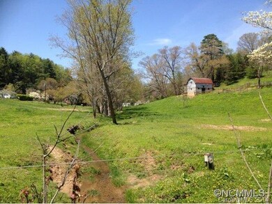 9 McKinnish Cove Rd, Asheville, NC 28806 - photo 3