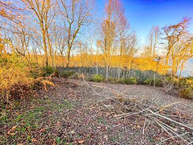 Lot 6 Alberts Cove, Rutledge, TN 37861 - photo 3