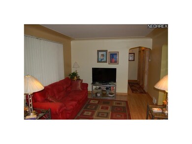 Living Room ---Laminate Floor