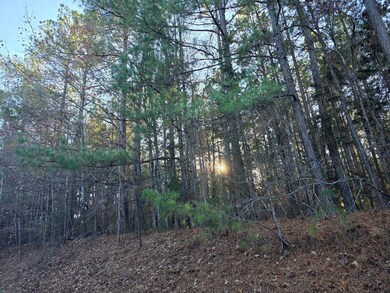 0 Mountian Creek Rd unit 6, Meherrin, VA 23942 - photo 4