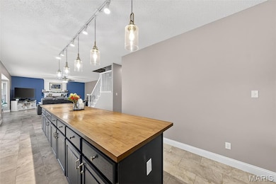 1456 Devonshire County Dr, Wentzville, MO 63385 - photo 6