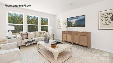 1036 Horizon Ln, Chester, SC 29706 - photo 7