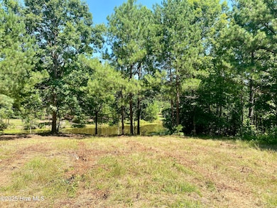 291 Gails Rd, Seven Lakes, NC 27376 - photo 4