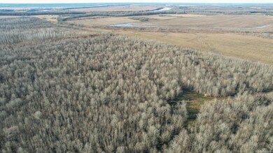 TBD Little River 32, Ashdown, AR 71822 - photo 3