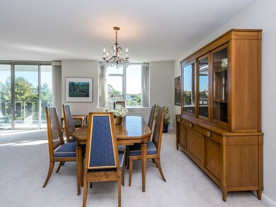 Imperial Towers unit 614, Chestnut Hill, MA 02467 - photo 4