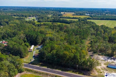 TBD Lamar Hwy, Darlington, SC 29532 - photo 2