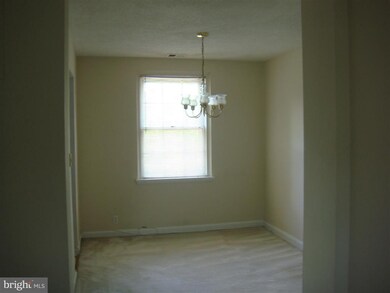 4123 36th St S unit B2, Arlington, VA 22206 - photo 4