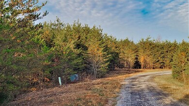 0 Jones Dr unit RTC2980310, Tellico Plains, TN 37385 - photo 6