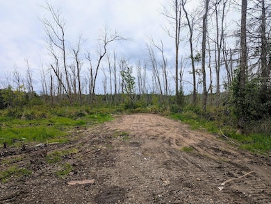 Old Mobile home was removed