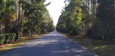 Entry Drive into to Windswept Estates