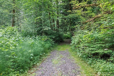 0 212th St SE unit NWM2389012, Snohomish, WA 98296 - photo 4