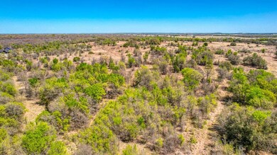 1350 Tidwell Rd, Brock, TX 76087 - photo 3