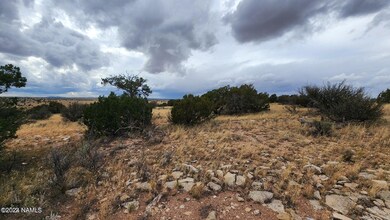 5184 S Starlit Trail, Williams, AZ 86046 - photo 6