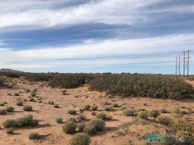 000 Sands Rd NW, Deming, NM 88030 - photo 5