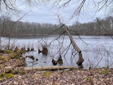 0 37th St, Gobles, MI 49055 - photo 6