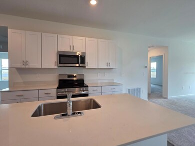 8066 SW 44th Terrace, Liberty Triangle, FL 34476 - photo 7