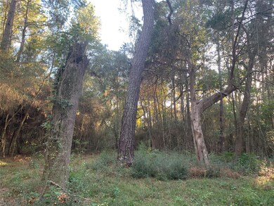 24424 Nichols Sawmill Rd, Magnolia, TX 77355 - photo 3