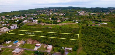 SR-307 KM 7.6 Pedernales Ward Lot 2 unit (D), Cabo Rojo, PR 00623 - photo 4