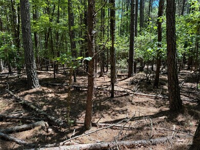 0 Edgerton Rd, Mill Spring, NC 28756 - photo 2