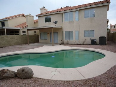 Back Yard 2