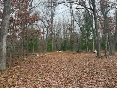 Parcel 2 Cleveland Dr, Bitely, MI 49309 - photo 3