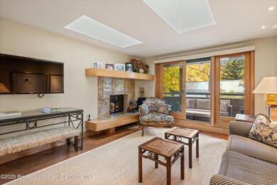 1020 E Hopkins Ave unit 9, Aspen, CO 81611 - photo 3