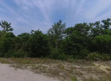 0 Magnolia Ave unit 25491912, Orange City, FL 32763 - photo 3