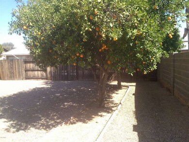 Backyard 2
