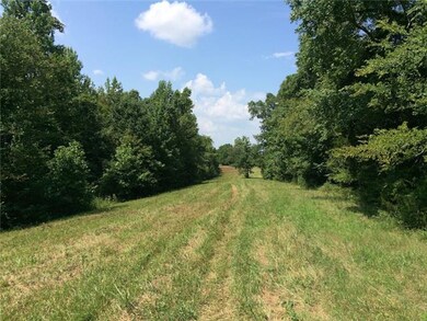 350 Rockhouse Rd, Linden, TN 37096 - photo 4