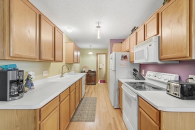 834 Summer Pines Cir, Hudson, WI 54016 - photo 7