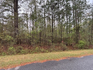 Lot 2 Jacquelyn Ct, Bainbridge, GA 39819 - photo 2