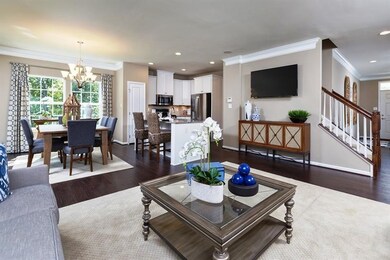 Main Level