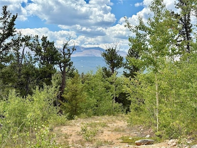 0 Beaver Creek Rd unit REC9026847, Alma, CO 80420 - photo 3