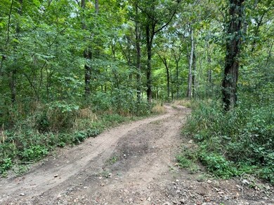 0 Fortyeight Creek Rd unit RTC2694480, Waynesboro, TN 38485 - photo 7