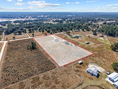 11851 SE 21st Place, Morriston, FL 32668 - photo 3